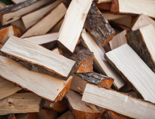 Výhrevnosť dreva – čo ovplyvňuje množstvo tepla pri kúrení?